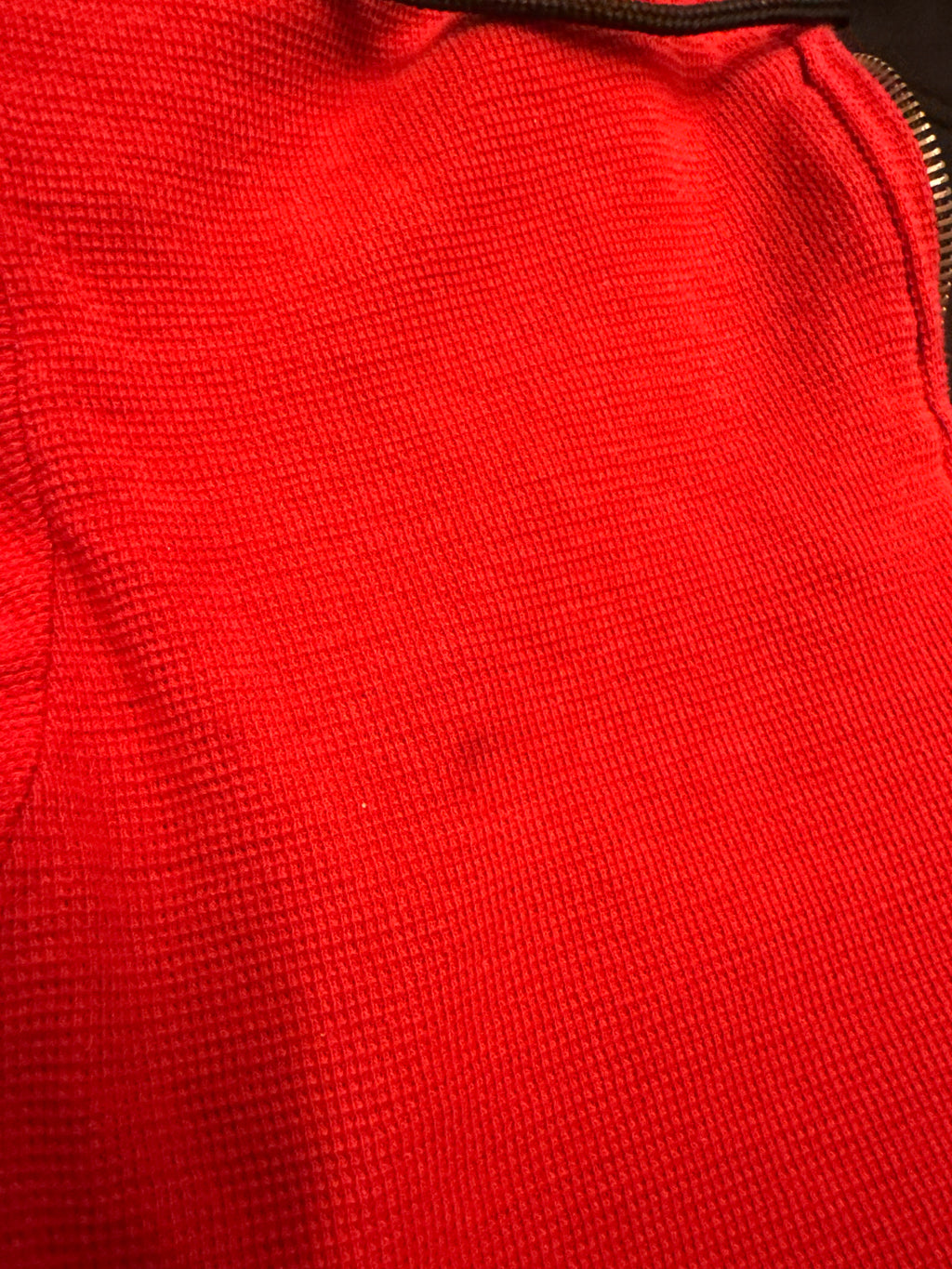 DICKIES REVERSIBLE HOODIE